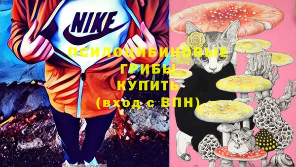 бошки Аркадак
