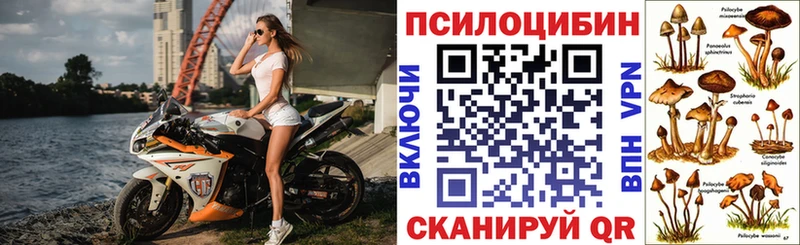 Псилоцибиновые грибы GOLDEN TEACHER Медвежьегорск
